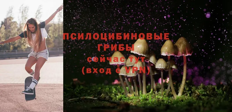 Псилоцибиновые грибы Magic Shrooms  Байкальск 